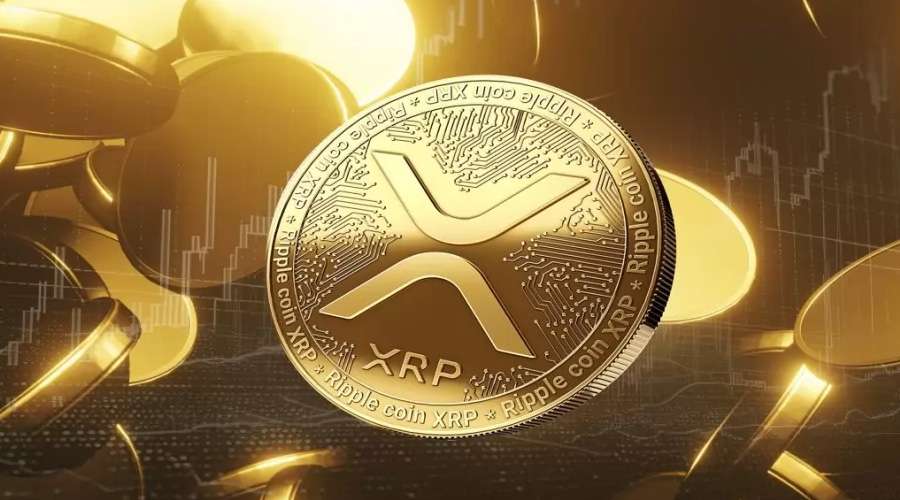 XRP Wedden: Het verkennen van de transformerende impact van Ripple